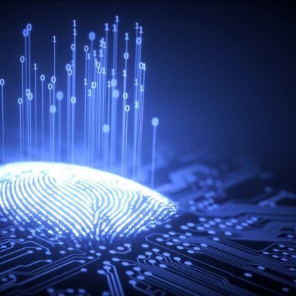 Network Visualization Solutions