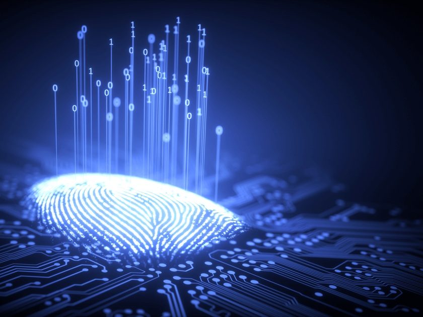 Network Visualization Solutions